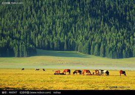 塞外[長城以北的地區]