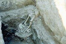 被盜墓後的墓主遺骸