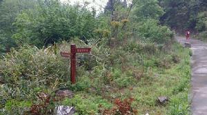 茅嶺古道 茅嶺古道