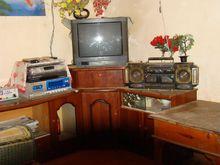 上松園自然村家電