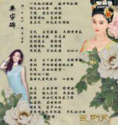 無字碑[張靚穎演唱歌曲]