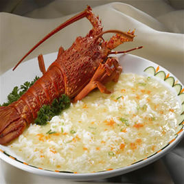 白雪藏龍 白雪藏龍