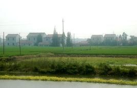 新星村[浙江嘉善縣乾窯鎮新星村]