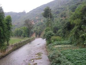 水洛河村 水洛河村