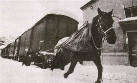 馬拉火車 馬拉火車