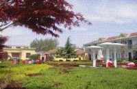 鄒城市城前鎮岔河國小 鄒城市城前鎮岔河國小