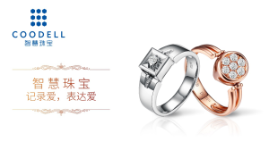 智慧珠寶