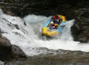 金蟾島漂流 金蟾島漂流