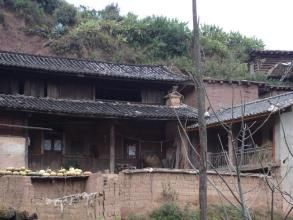 小邑雞村 小邑雞村