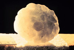 全球十大怪異天氣