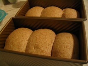 健康主食麵包 健康主食麵包