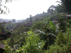 涵德自然村 涵德自然村