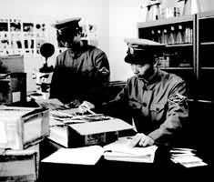 植物檢疫法 植物檢疫法