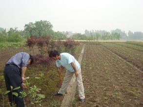 益民村[海南省海口市甲子鎮下轄村]