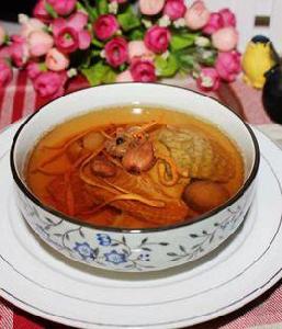 鱷魚蟲草花湯 鱷魚蟲草花湯