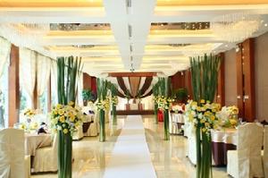 頤豐花園 頤豐花園