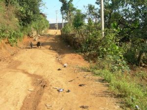 曼糯大寨村 曼糯大寨村