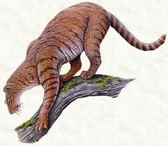 始貓的另一種復原圖