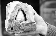 未加工的木魚石