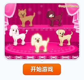 慶典中的小狗 慶典中的小狗