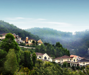 龍河山莊 龍河山莊