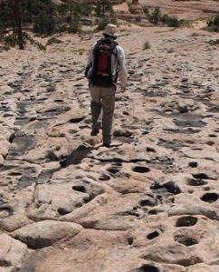 恐龍舞池 恐龍舞池