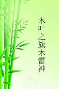 木葉之旗木雷神 木葉之旗木雷神