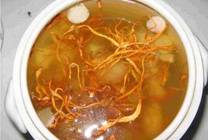 花旗參燉金錢膠 花旗參燉金錢膠