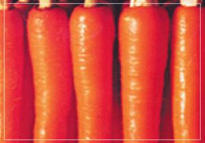 （圖）胡蘿蔔