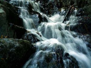海龜自然保護區