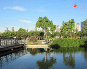 胥江社區 胥江社區