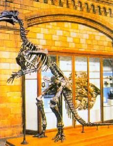 西峽恐龍遺蹟園