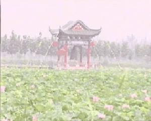 白雲湖鎮 白雲湖鎮