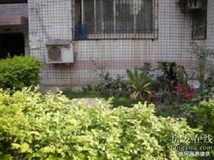 河南省財經學校家屬院 河南省財經學校家屬院