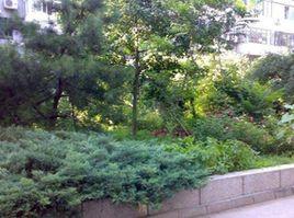 青雲南區 青雲南區