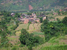 鰱魚村[雲南省綏江縣新灘鎮下轄村]