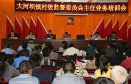 大河壩鎮[陝西省佛坪縣轄鎮]