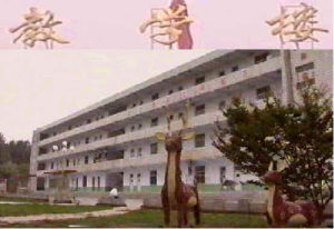 沂源縣韓旺中心學校 沂源縣韓旺中心學校