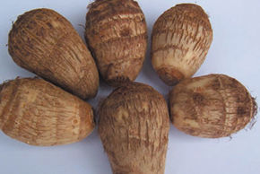 毛芋頭薯蕷 毛芋頭薯蕷