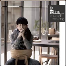 你愛上的我