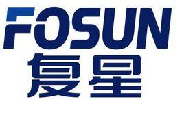 復星國際有限公司 復星國際有限公司