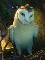 守衛者傳奇[美國2010年扎克·施奈德執導卡通片]