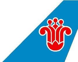 中國南方航空股份有限公司 中國南方航空股份有限公司
