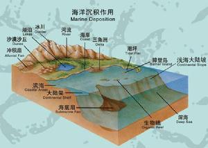 沉積作用 沉積作用