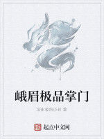 極品掌門 極品掌門