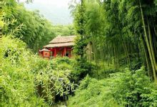 浙江安吉竹海風光圖冊