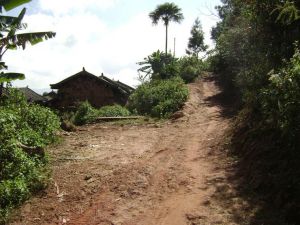 衛家自然村 衛家自然村