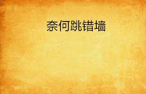 奈何跳錯牆 奈何跳錯牆