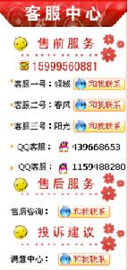 領域數碼通訊的客服群體