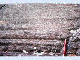 線狀構造 線狀構造